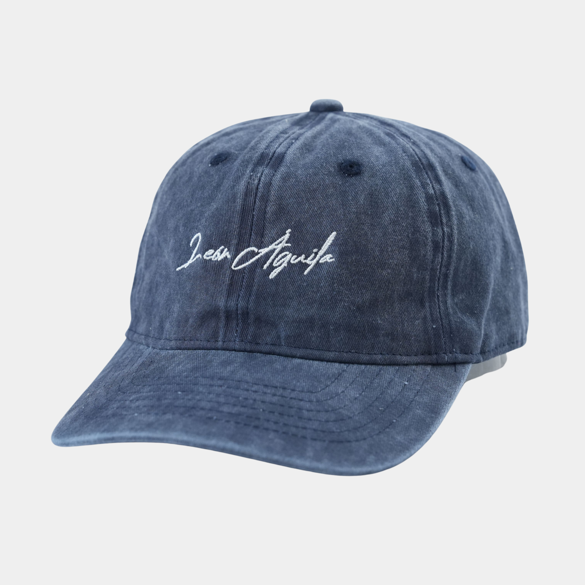 Navy Signature Baseball Cap