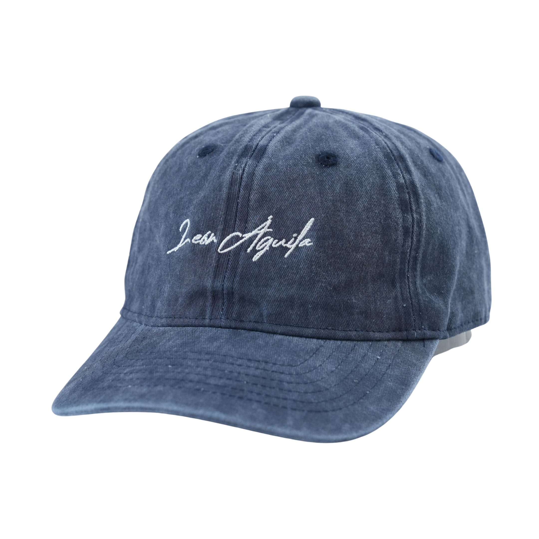 Navy Signature Baseball Cap