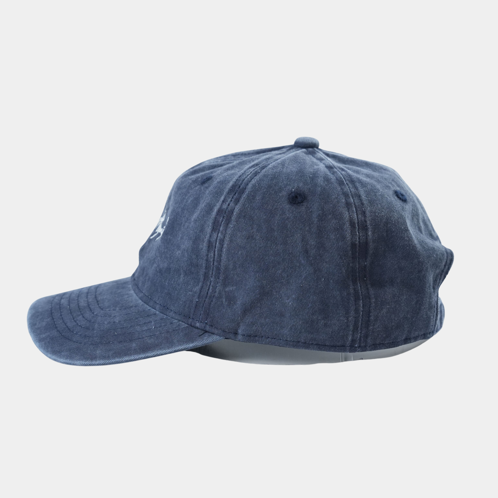 Navy Signature Baseball Cap